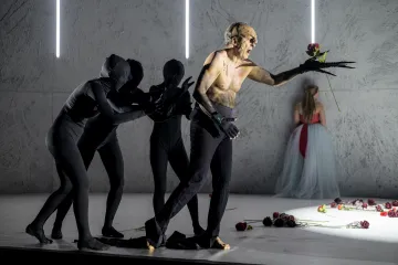 Krása uvnitř je důležitější než ta navenek, shodnou se Kráska a zvíře. Prince nepotřebují