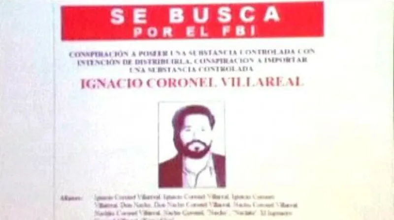 Reportáž Davida Miřejovského