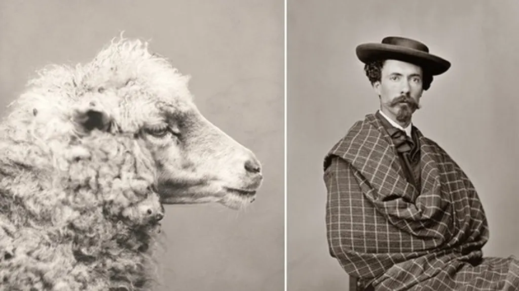 Carlos Relvas / Ovce (kolem r. 1870) a Autoportrét (1868–59)