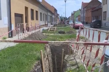 Pokácení staletých lip v Prostějově bylo podle krajského úřadu legální