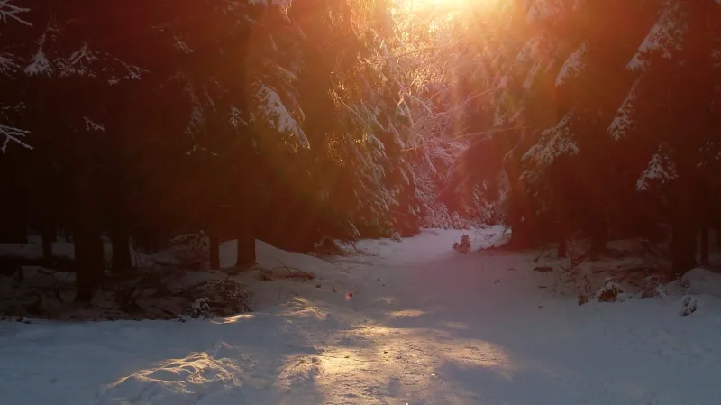 Harrachov