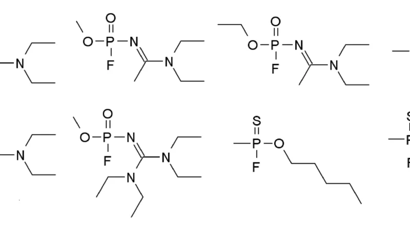 Pravděpodobná struktura látky Novičok podle Vila Mirzajanova