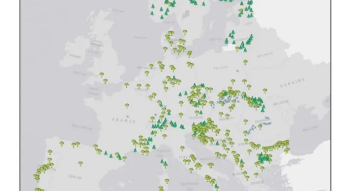 Primární lesy v Evropě