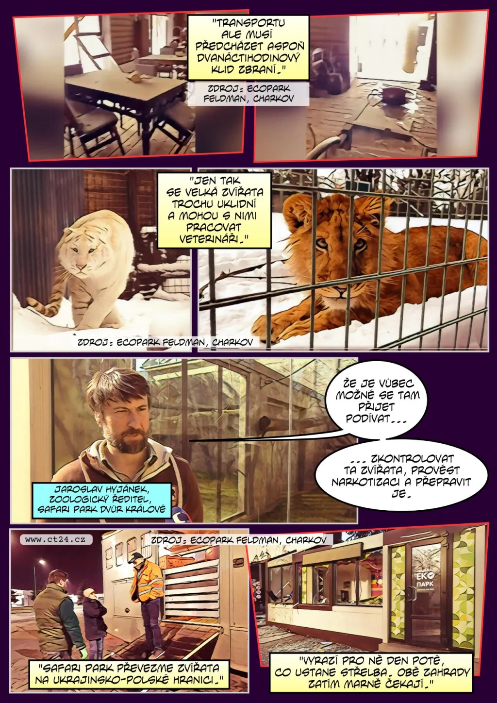 Pomoc zvířatům ve víru války