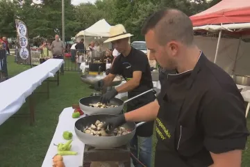 Houbaři se každý rok sjíždějí do řecké Greveny. Na festivalu ochutnají i houbovou marmeládu