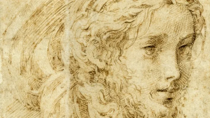 Parmigianino / Portrét mladého muže s vousem