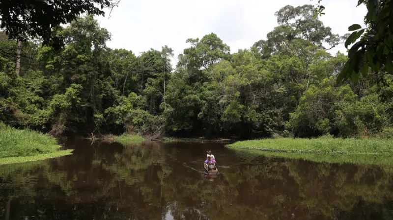 Místo, kde termiti v Kamerunu žijí
