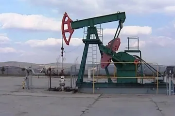 Upravené kvasinky mohou vyčistit nejhorší ropná znečištění. Pracuje na tom polská firma