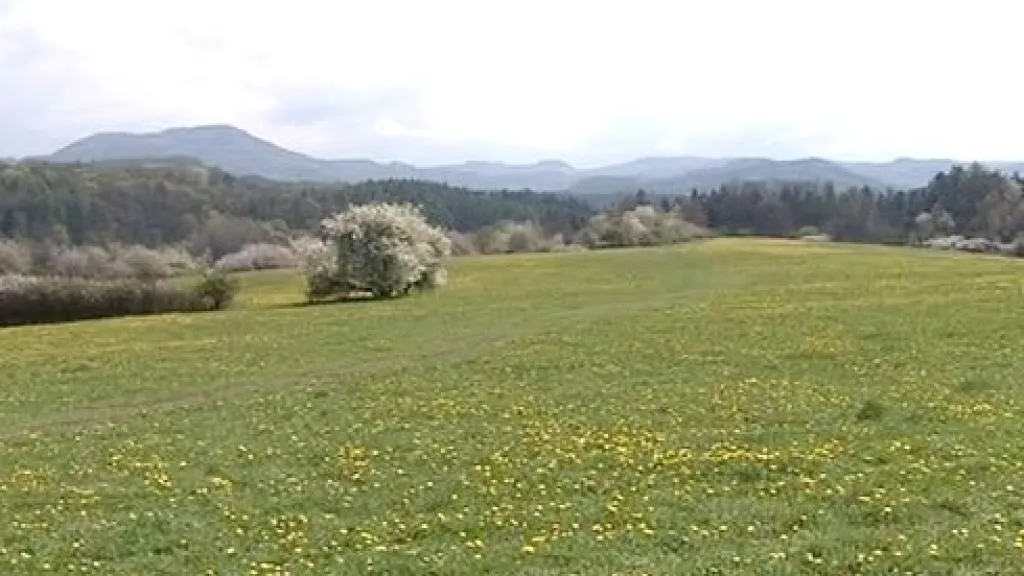 Pozemky v Ostrově určené k rodinné zástavbě