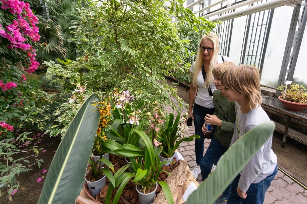 Výstava orchidejí v Olomouci