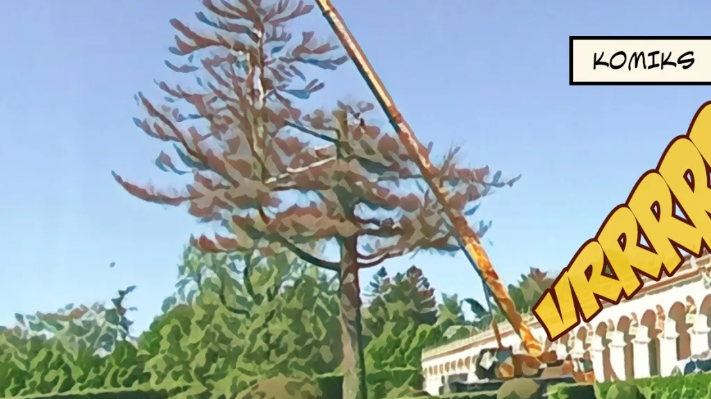 Pokáceli staletý strom v Kroměříži