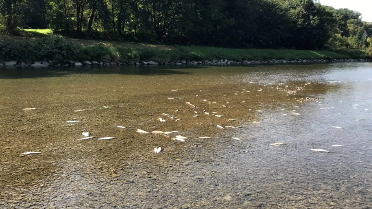 Čistírna firmy Energoaqua byla provozována nedbale, řekl u soudu kvůli Bečvě znalec