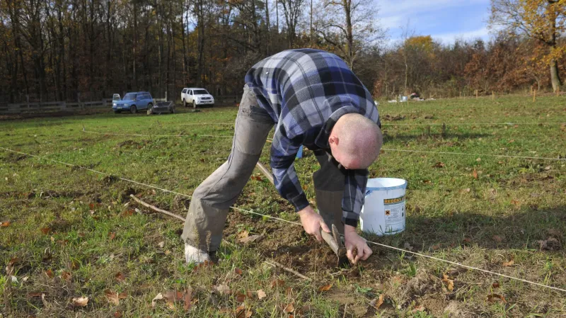 Na Prostějovsku roste první plantáž korkovníku