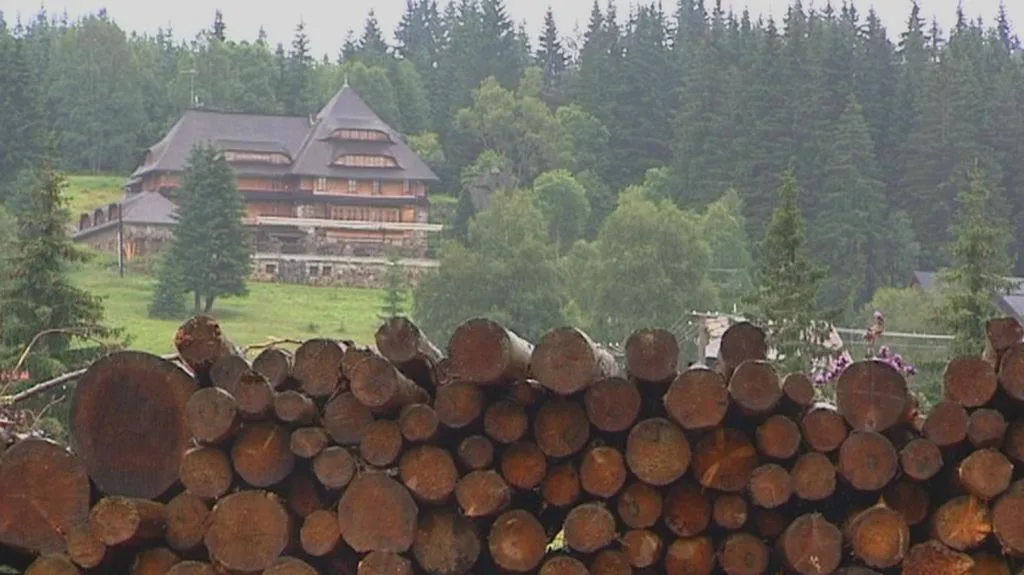 Dřevo