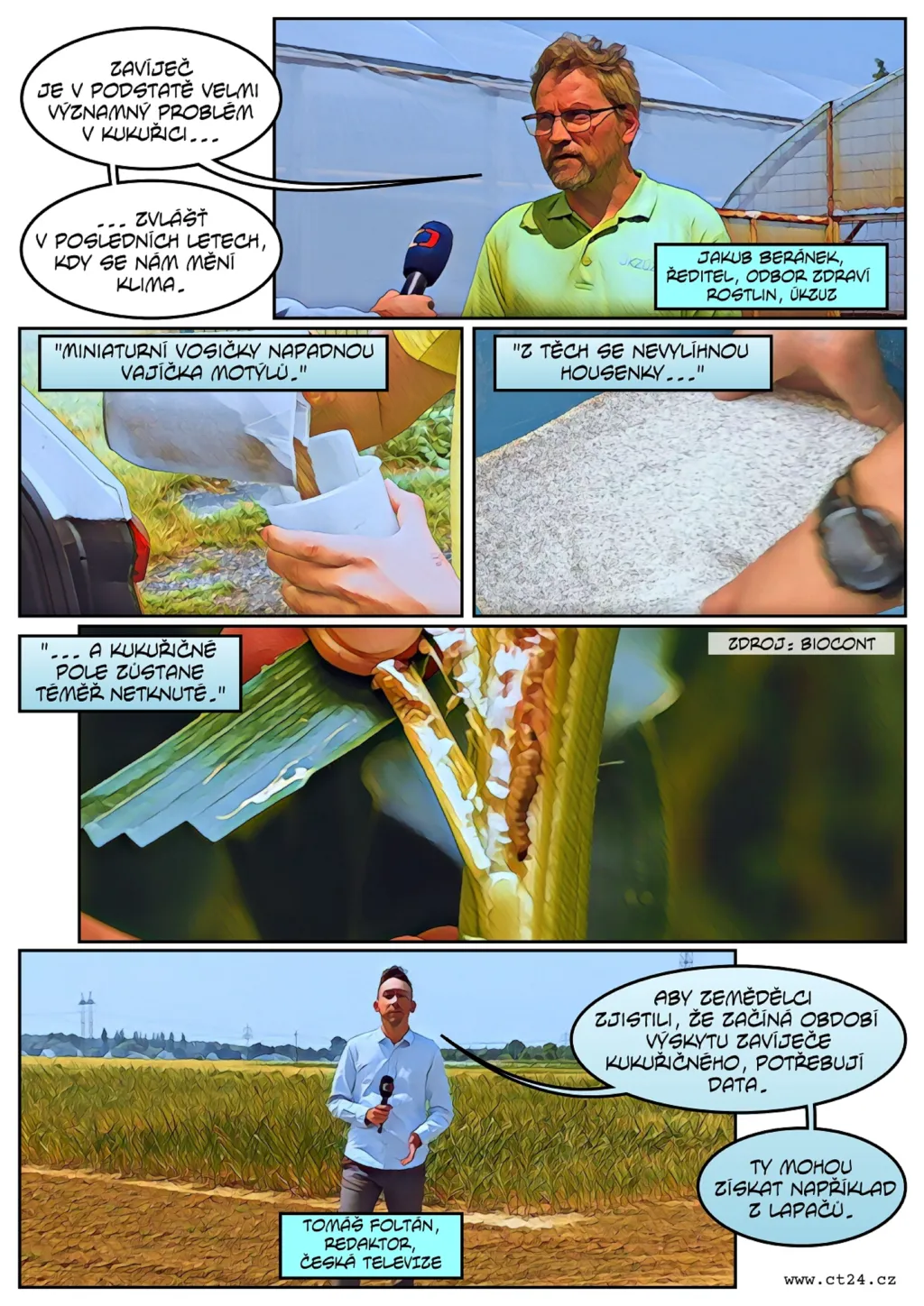 Čmelák práší pole