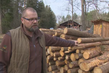 Loni vzrostla spotřeba zemního plynu, letos je zájem o dříví. Lidé se na zimu zásobují už na jaře