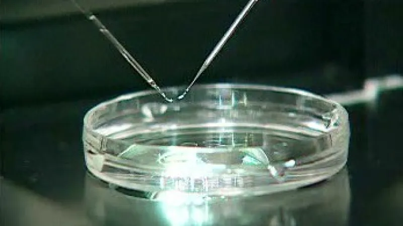 Laboratorní výzkum