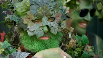 Jack in the Green je jednou z tradičních folklorních oslav v Anglii, která se datuje do 17. století. Tradice sice na počátku 20. století téměř vymřela, ale nadšenci pro folklor a historii ji v 80. letech vdechli nový život. Slavnosti nyní  probíhají v rámci květnových svátků, kdy si občané Velké Británie užívají dny volna.