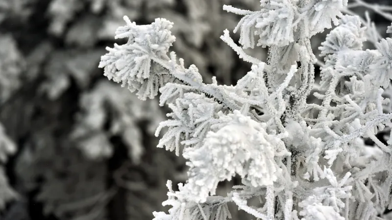 Klínovec v Krušných horách