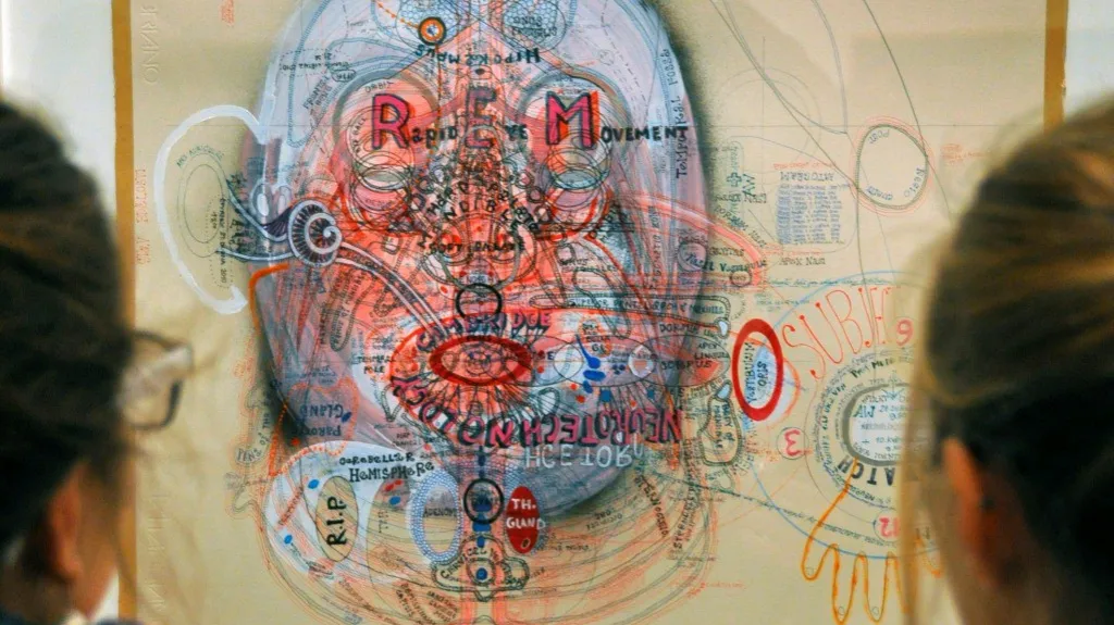 Anatomia Metamorphosis