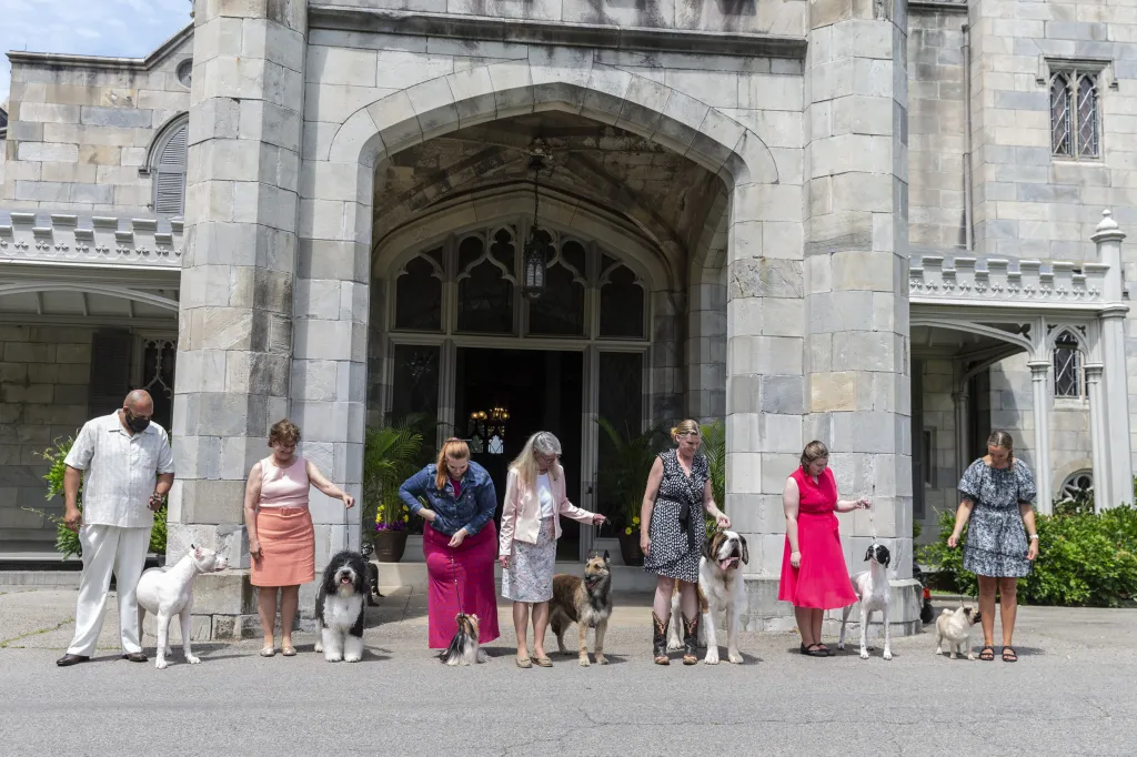 Jedna z nejstarších přehlídek psů na světě pořádaná klubem Westminster Kennel Club Dog našla nové místo v zahradách gotického usedlosti zvané Lyndhurst Mansion