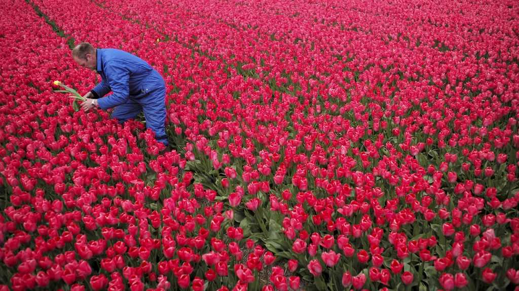 Týden obrazem - 28. 4.