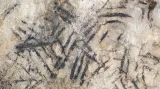 Nejstarší jeskynní kresbou v Česku je geometrický tvar vytvořený uhlem na stěně jeskyně Býčí skála v Moravském krasu.