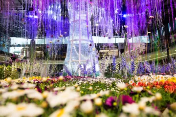 V Olomouci začala Jarní Flora. Hlavní výstava letos nese název Strom života