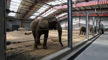 Zlínská zoo představila nové chovné zařízení pro slony