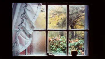 Sonja Bullaty / Vzpomínka na Sudka, Vermont, 1976
