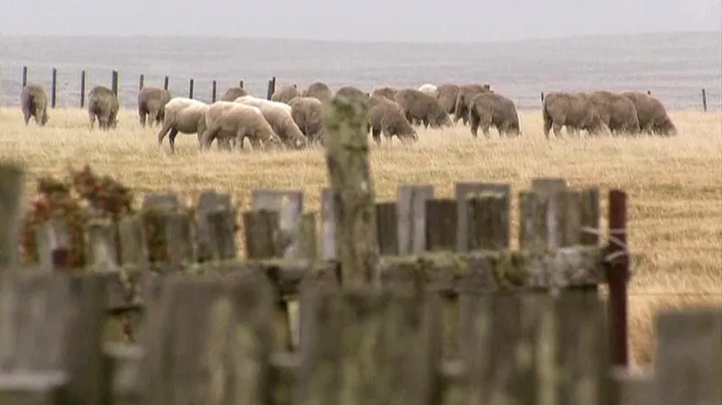 Falklandské (Malvínské) ostrovy