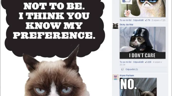 Grumpy Cat má i vlastní facebookové stránky