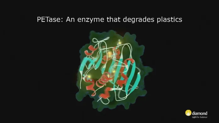 Enzym PETase