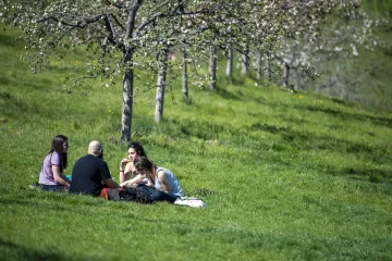 Letní den nebyl jen těsně. I tak padaly teplotní rekordy