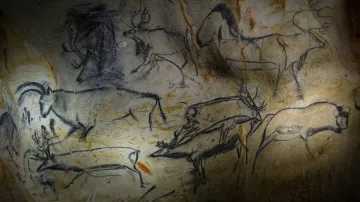 Kresby v replice Chauvetovy jeskyně