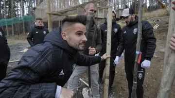 Fotbalista Sigmy Olomouc Martin Hála zasazuje strom v areálu zoo
