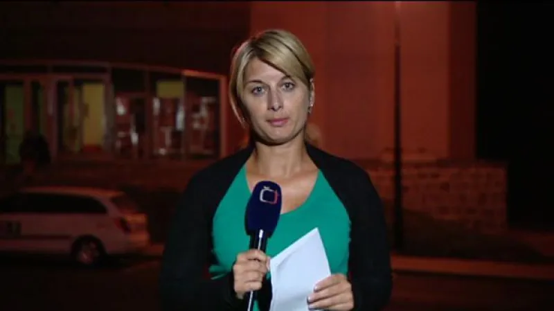 Vstup Ley Surovcové