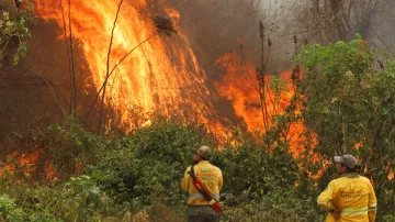 Lesní požár v Bolívii v září 2024