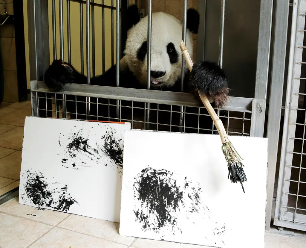 Panda velká se štětcem u obrazů, které namalovala v schönbrunnské zoo ve Vídni. Asi stovka jejích děl bude prodávána on-line za cenu 490 EUR za kus. Výtěžek bude věnován na obrazovou publikaci o životě pand ve vídeňské zoo