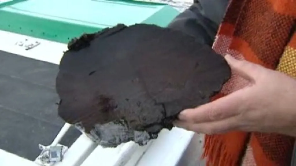 Kus dřevěného kůlu z Juditina mostu