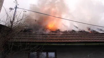 Majitelé začali vyvádět hospodářská zvířata ještě před příjezdem hasičů