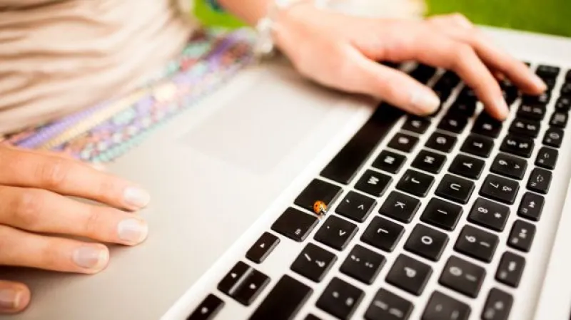 Události: Šmejdi se schovávají za internet