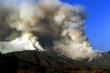 Emise z lesních požárů byly letos na severní polokouli rekordní, ukázaly družice