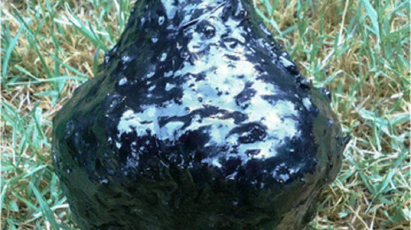 Indiánská láhev z Channel Islands