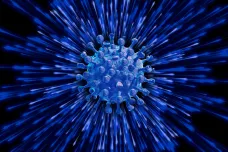 Kraken. V USA se rychle šíří nová verze koronaviru, hospitalizací je nejvíc od března