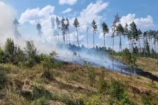 Na Blanensku hořel les. Hasiči vyhlásili třetí požární stupeň 