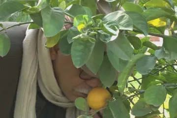 Marocký profesor se s parfémy dostal do Versailles, tvořil i pro Yves Saint Laurenta