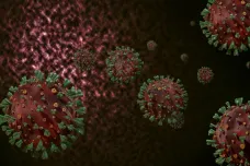 V Česku je britská mutace koronaviru, potvrdil to Státní zdravotní ústav