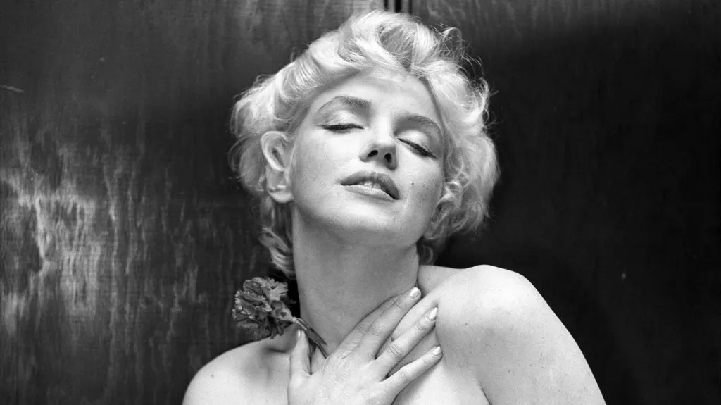 Z výstavy Marilyn