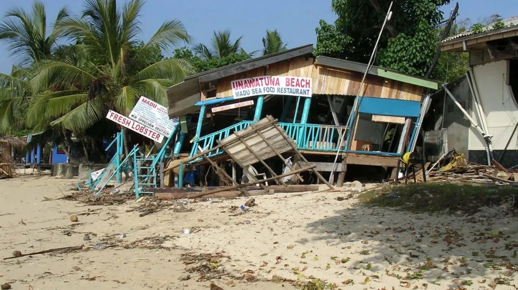Tsunami v roce 2004